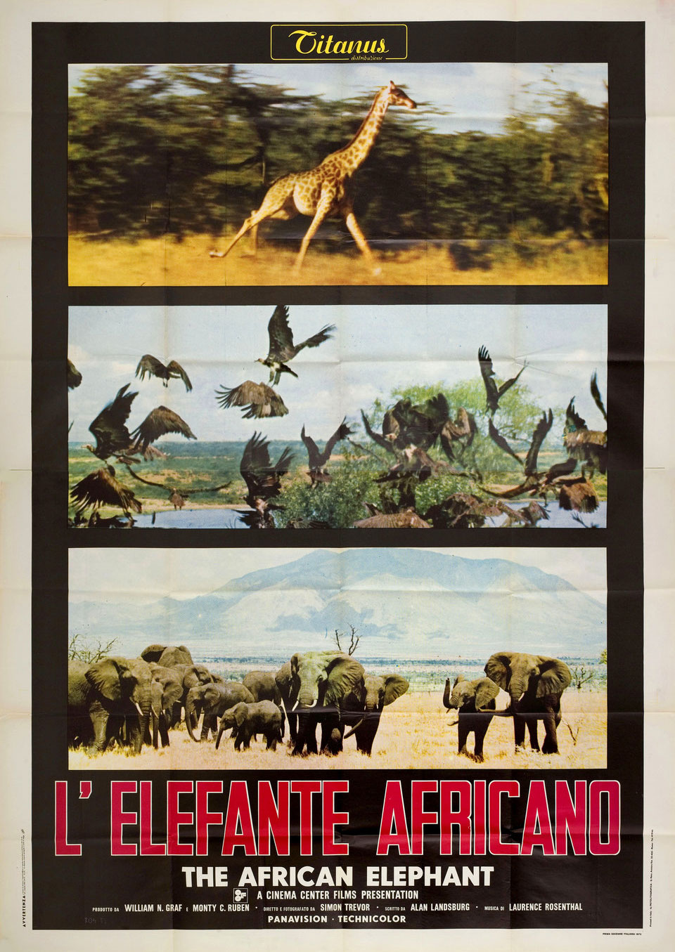 The African Elephant 1972